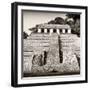 ¡Viva Mexico! Square Collection - Mayan Temple of Inscriptions in Palenque V-Philippe Hugonnard-Framed Photographic Print