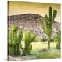 ¡Viva Mexico! Square Collection - Mexican Cactus at Sunset-Philippe Hugonnard-Stretched Canvas