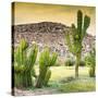 ¡Viva Mexico! Square Collection - Mexican Cactus at Sunset-Philippe Hugonnard-Stretched Canvas