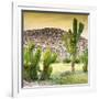 ¡Viva Mexico! Square Collection - Mexican Cactus at Sunset-Philippe Hugonnard-Framed Photographic Print