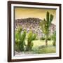 ¡Viva Mexico! Square Collection - Mexican Cactus at Sunset-Philippe Hugonnard-Framed Photographic Print