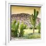 ¡Viva Mexico! Square Collection - Mexican Cactus at Sunset-Philippe Hugonnard-Framed Photographic Print