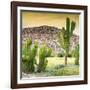 ¡Viva Mexico! Square Collection - Mexican Cactus at Sunset-Philippe Hugonnard-Framed Photographic Print