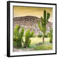 ¡Viva Mexico! Square Collection - Mexican Cactus at Sunset-Philippe Hugonnard-Framed Photographic Print