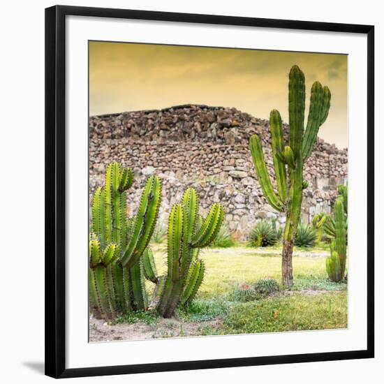 ¡Viva Mexico! Square Collection - Mexican Cactus at Sunset-Philippe Hugonnard-Framed Photographic Print