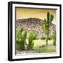 ¡Viva Mexico! Square Collection - Mexican Cactus at Sunset-Philippe Hugonnard-Framed Photographic Print