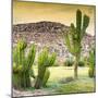 ¡Viva Mexico! Square Collection - Mexican Cactus at Sunset-Philippe Hugonnard-Mounted Photographic Print