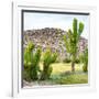 ¡Viva Mexico! Square Collection - Mexican Cactus II-Philippe Hugonnard-Framed Photographic Print