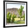 ¡Viva Mexico! Square Collection - Mexican Cactus II-Philippe Hugonnard-Framed Photographic Print