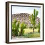 ¡Viva Mexico! Square Collection - Mexican Cactus II-Philippe Hugonnard-Framed Photographic Print