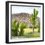 ¡Viva Mexico! Square Collection - Mexican Cactus II-Philippe Hugonnard-Framed Photographic Print