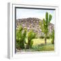 ¡Viva Mexico! Square Collection - Mexican Cactus II-Philippe Hugonnard-Framed Photographic Print