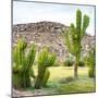 ¡Viva Mexico! Square Collection - Mexican Cactus II-Philippe Hugonnard-Mounted Photographic Print