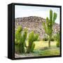 ¡Viva Mexico! Square Collection - Mexican Cactus II-Philippe Hugonnard-Framed Stretched Canvas