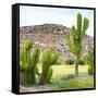 ¡Viva Mexico! Square Collection - Mexican Cactus II-Philippe Hugonnard-Framed Stretched Canvas