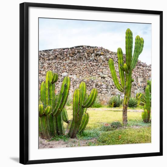 ¡Viva Mexico! Square Collection - Mexican Cactus II-Philippe Hugonnard-Framed Photographic Print