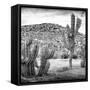 ¡Viva Mexico! Square Collection - Mexican Cactus III-Philippe Hugonnard-Framed Stretched Canvas