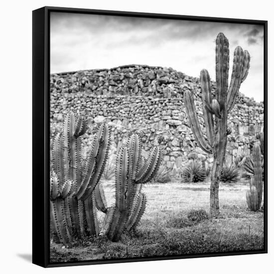 ¡Viva Mexico! Square Collection - Mexican Cactus III-Philippe Hugonnard-Framed Stretched Canvas