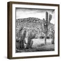 ¡Viva Mexico! Square Collection - Mexican Cactus III-Philippe Hugonnard-Framed Photographic Print