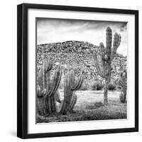 ¡Viva Mexico! Square Collection - Mexican Cactus III-Philippe Hugonnard-Framed Photographic Print