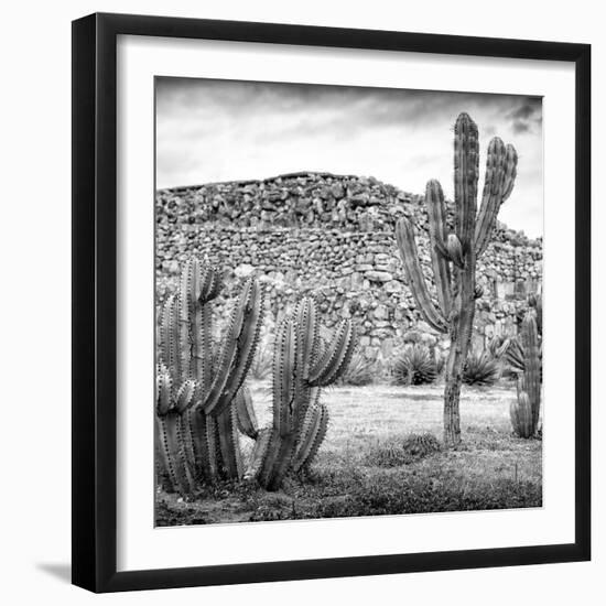 ¡Viva Mexico! Square Collection - Mexican Cactus III-Philippe Hugonnard-Framed Photographic Print