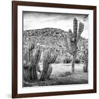 ¡Viva Mexico! Square Collection - Mexican Cactus III-Philippe Hugonnard-Framed Photographic Print