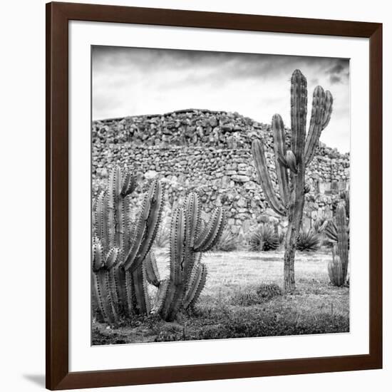 ¡Viva Mexico! Square Collection - Mexican Cactus III-Philippe Hugonnard-Framed Photographic Print