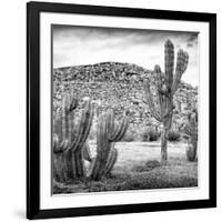 ¡Viva Mexico! Square Collection - Mexican Cactus III-Philippe Hugonnard-Framed Photographic Print