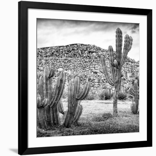 ¡Viva Mexico! Square Collection - Mexican Cactus III-Philippe Hugonnard-Framed Photographic Print