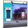 ¡Viva Mexico! Square Collection - Mexican Colorful Facades VI-Philippe Hugonnard-Mounted Premium Photographic Print