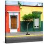 ¡Viva Mexico! Square Collection - Mexican Colorful Facades-Philippe Hugonnard-Stretched Canvas