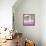 ¡Viva Mexico! Square Collection - Mexican Pink Grunge Wall-Philippe Hugonnard-Framed Stretched Canvas displayed on a wall