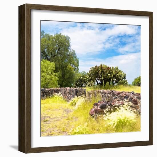 ¡Viva Mexico! Square Collection - Mexican Vegetation-Philippe Hugonnard-Framed Photographic Print