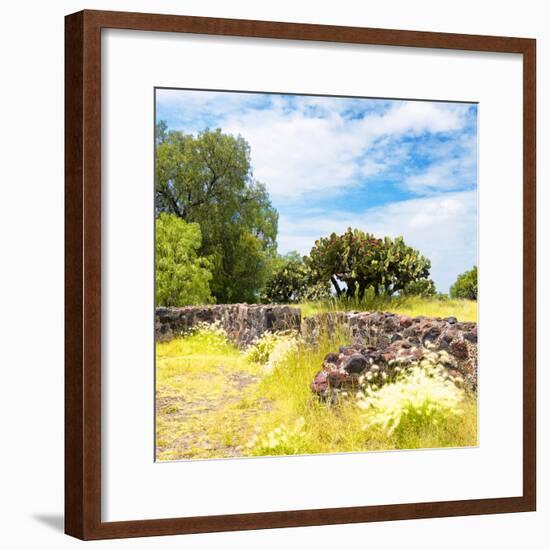 ¡Viva Mexico! Square Collection - Mexican Vegetation-Philippe Hugonnard-Framed Photographic Print