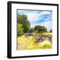 ¡Viva Mexico! Square Collection - Mexican Vegetation-Philippe Hugonnard-Framed Photographic Print