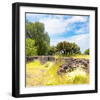 ¡Viva Mexico! Square Collection - Mexican Vegetation-Philippe Hugonnard-Framed Photographic Print