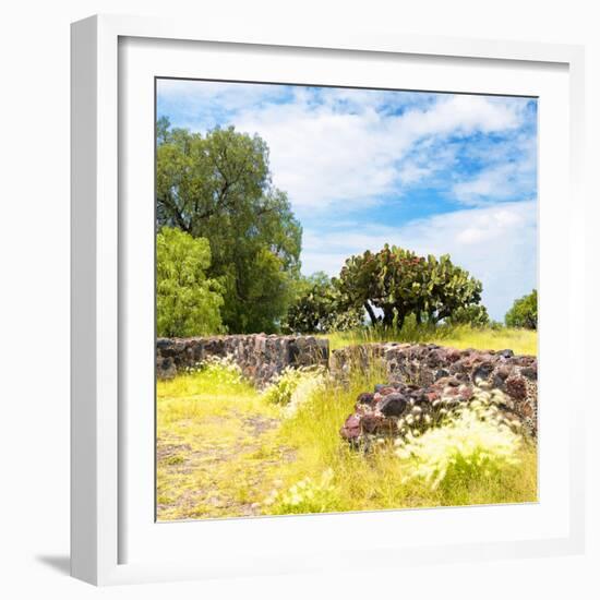 ¡Viva Mexico! Square Collection - Mexican Vegetation-Philippe Hugonnard-Framed Photographic Print