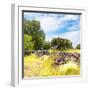 ¡Viva Mexico! Square Collection - Mexican Vegetation-Philippe Hugonnard-Framed Photographic Print