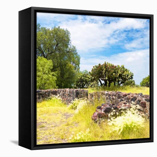¡Viva Mexico! Square Collection - Mexican Vegetation-Philippe Hugonnard-Framed Stretched Canvas