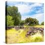 ¡Viva Mexico! Square Collection - Mexican Vegetation-Philippe Hugonnard-Stretched Canvas