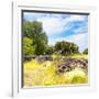 ¡Viva Mexico! Square Collection - Mexican Vegetation-Philippe Hugonnard-Framed Photographic Print