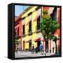 ¡Viva Mexico! Square Collection - Mexico City Colorful Facades-Philippe Hugonnard-Framed Stretched Canvas