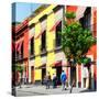 ¡Viva Mexico! Square Collection - Mexico City Colorful Facades-Philippe Hugonnard-Stretched Canvas