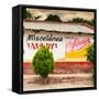 ¡Viva Mexico! Square Collection - Miscelanea Mary II-Philippe Hugonnard-Framed Stretched Canvas