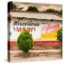 ¡Viva Mexico! Square Collection - Miscelanea Mary II-Philippe Hugonnard-Stretched Canvas