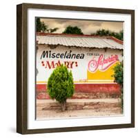 ¡Viva Mexico! Square Collection - Miscelanea Mary II-Philippe Hugonnard-Framed Photographic Print