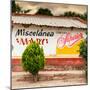 ¡Viva Mexico! Square Collection - Miscelanea Mary II-Philippe Hugonnard-Mounted Photographic Print