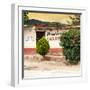 ¡Viva Mexico! Square Collection - Miscelanea Mary III-Philippe Hugonnard-Framed Photographic Print