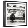 ¡Viva Mexico! Square Collection - Miscelanea Mary-Philippe Hugonnard-Framed Photographic Print