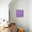 ¡Viva Mexico! Square Collection - Mosaics Purple Bricks-Philippe Hugonnard-Mounted Photographic Print displayed on a wall